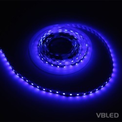LED strip 5m blue 12VDC IP20
