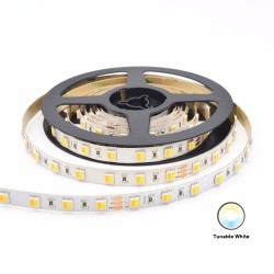 LED strip light 5m Tunable white CCT 2800-6500K