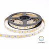 LED strip light 5m Tunable white CCT 2800-6500K