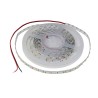 LED Strip Light 5m 3000K Warm White 24V DC