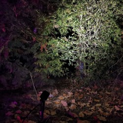 GARTUS LED RGB+W Garden Spotlight 10W 12V IP65