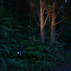 6W LED Garden Spotlight "Cypress" Warm White 12V IP68