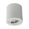 LED ceiling spot / surface-mounted spot swivel incl. LED 5.5W