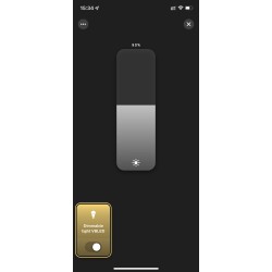 Zigbee LED ceiling light 5-light