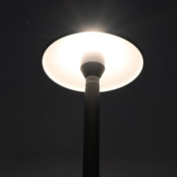 Gartus LED Bollard Light 12V AC/DC 6W 3000K